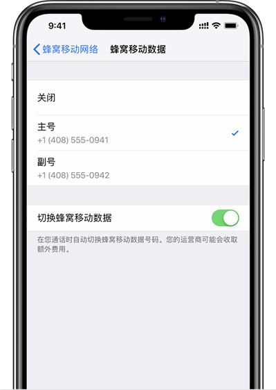 iPhone XR/XS Max 为什么不支持双电信卡？