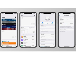 Apple Card 使用教程：如何在电子钱包应用中查看您的卡号？