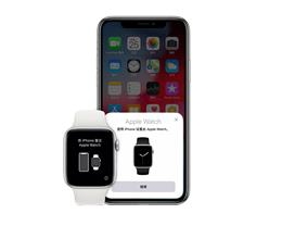 iOS 12.4 正式版修复漏洞：Walkie-Talkie 功能是什么？