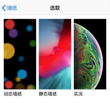 iPhone 拍照技巧：运用“实况照片”功能抓拍最美好的画面