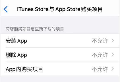 iOS 13 如何禁止下载应用和购买项目？