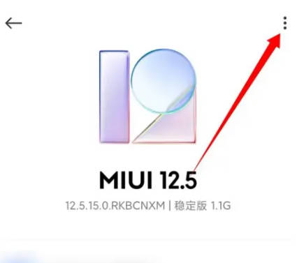 小米11系统更新如何手动选择更新安装包？(8)