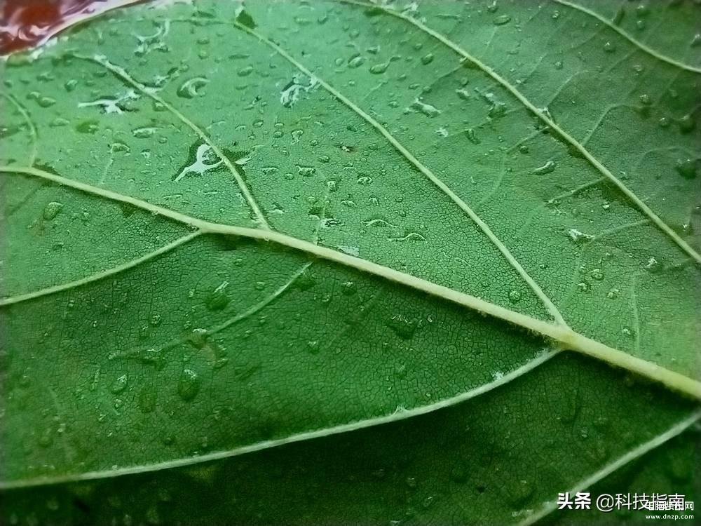 华为麦芒10SE参数配置