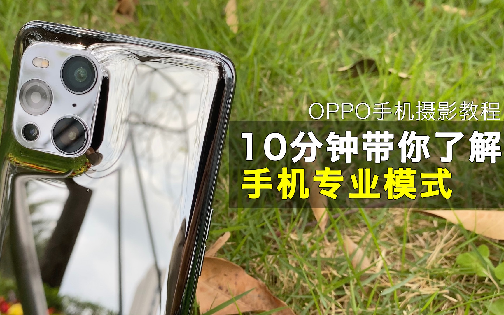 OPPO手机拍照专业模式实战讲解 让你相机轻松拍出专业级别好照片