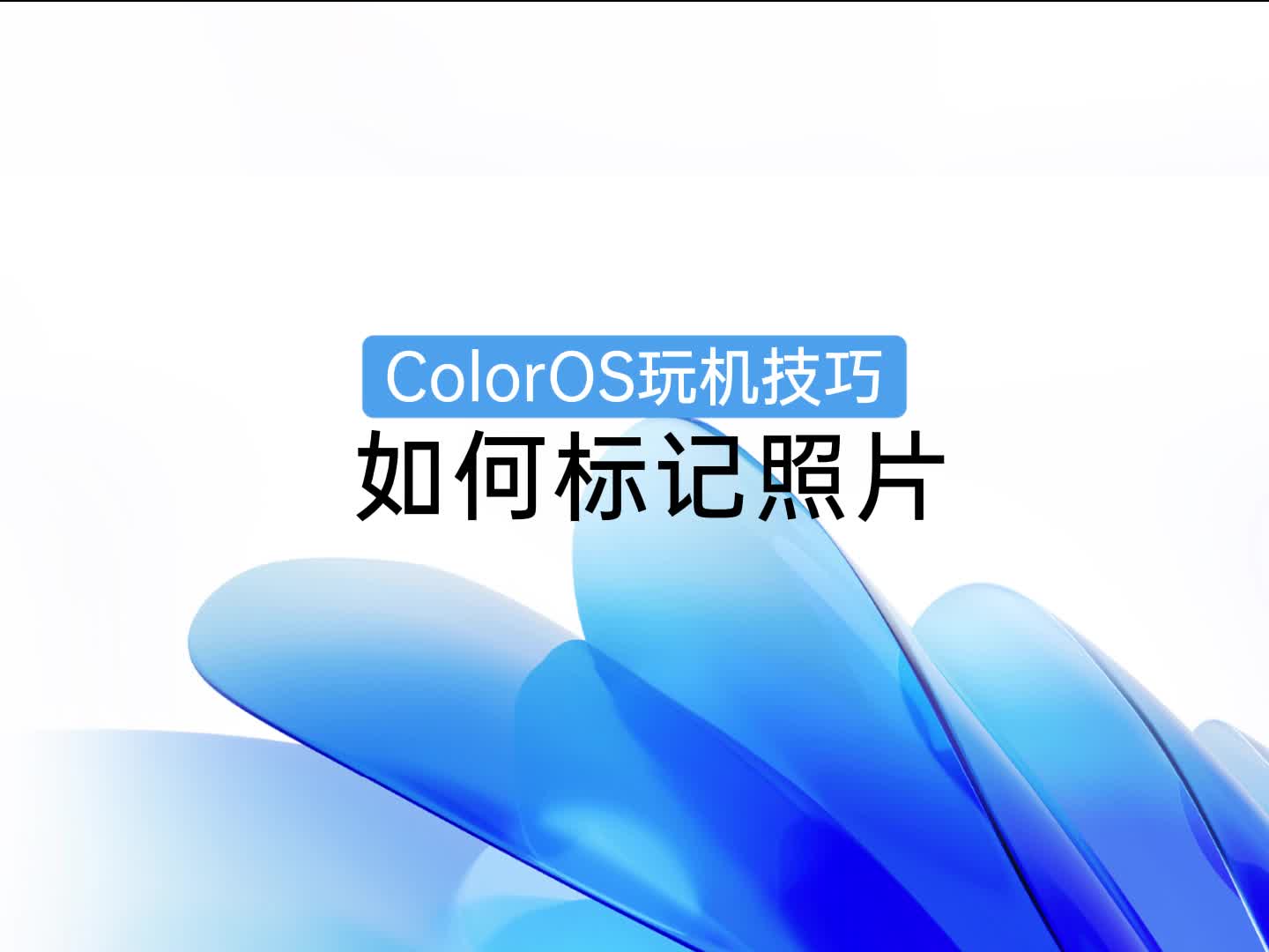 ColorOS玩机技巧 | 如何标记照片