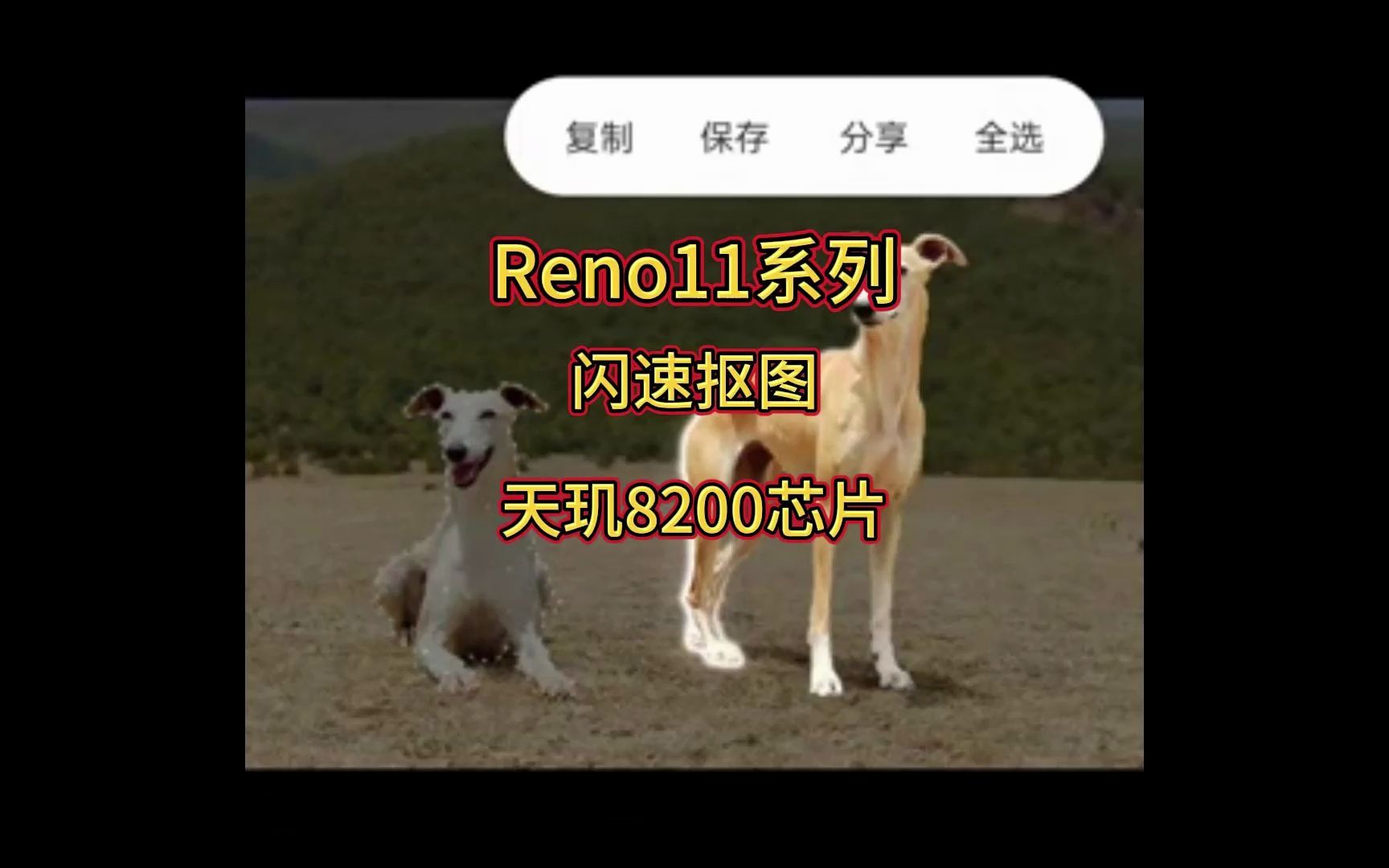 Reno11系列闪速抠图,实现了更快速自由的抠图体验