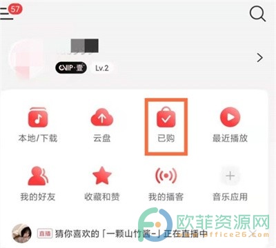 手机网易云音乐唱片怎么上架