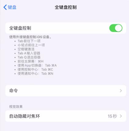 iOS 13 打字出现蓝色方框是什么情况？