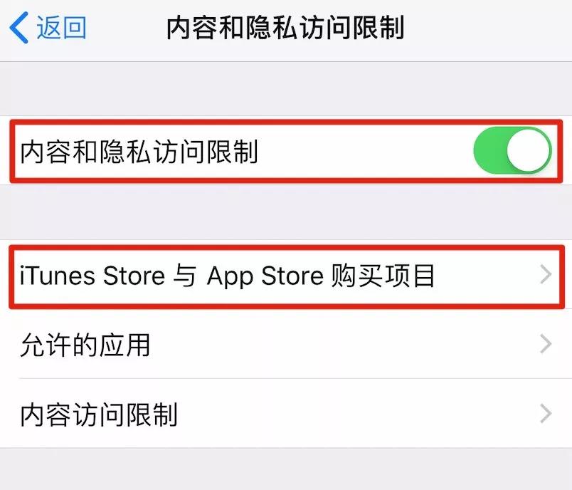 iPhone XR 如何防止误删除应用