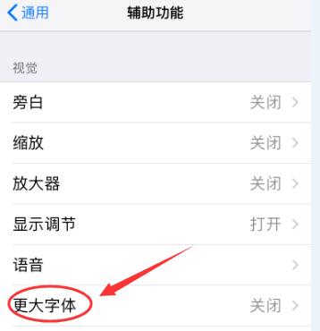 iPhone XR 如何放大图标和文字？