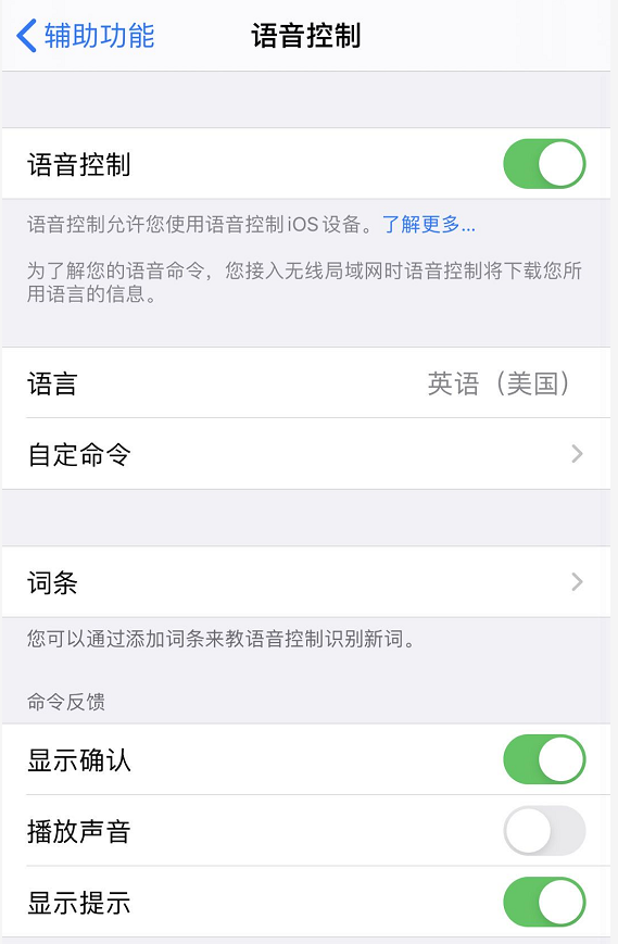 小技巧：通过“语音控制”解锁 iPhone