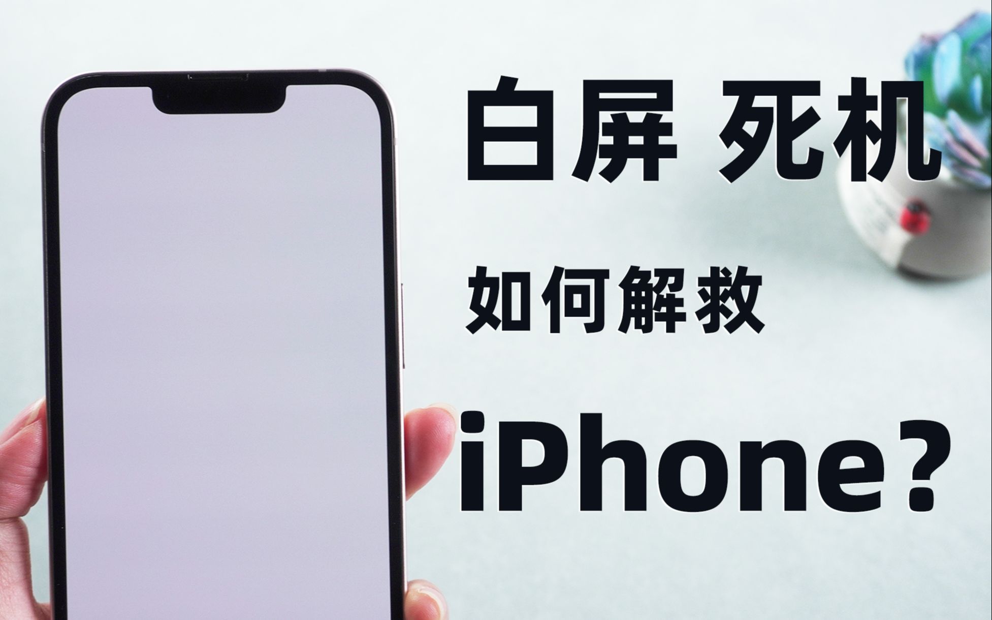 iPhone白屏无法关机，2种方法，简单3步，成功率最高达99%！