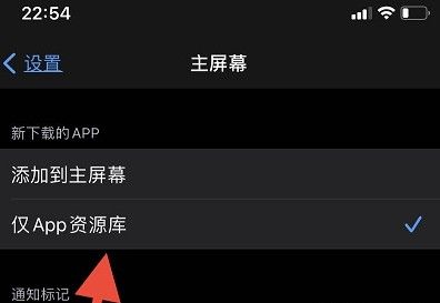 ios14下载到桌面不显示?ios14下载的app在桌面显示方法截图