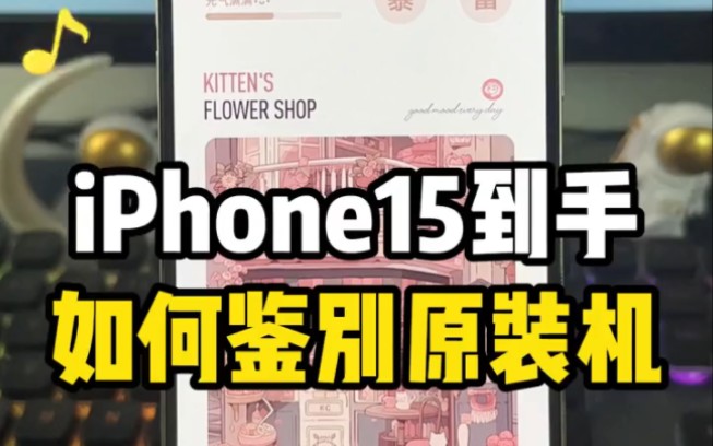 新的iPhone15到手如何鉴别是不是原装机~先码住！